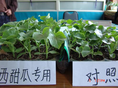 廣譜和專用基質(zhì)對(duì)比